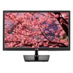 Monitor LG 19 Polegadas
